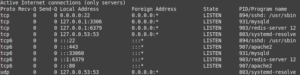 puertos abiertos netstat demonio servicio